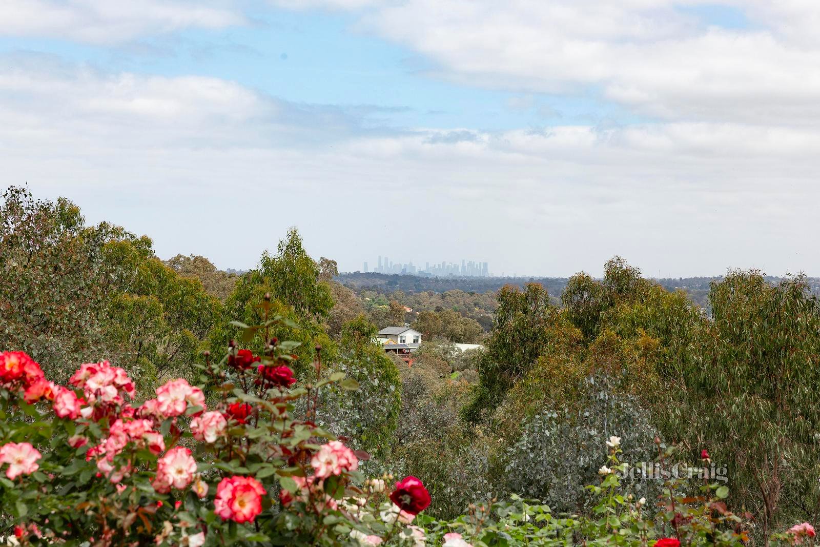 103 Mannish Road, Wattle Glen image 4