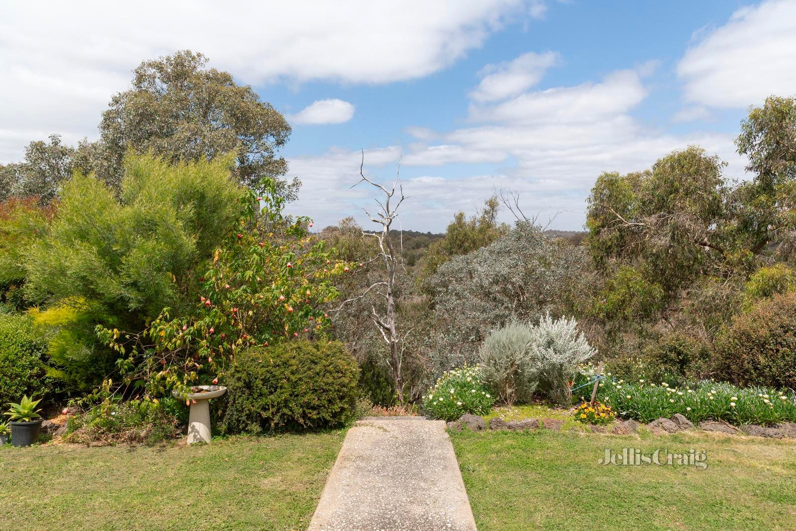 103 Mannish Road, Wattle Glen image 14