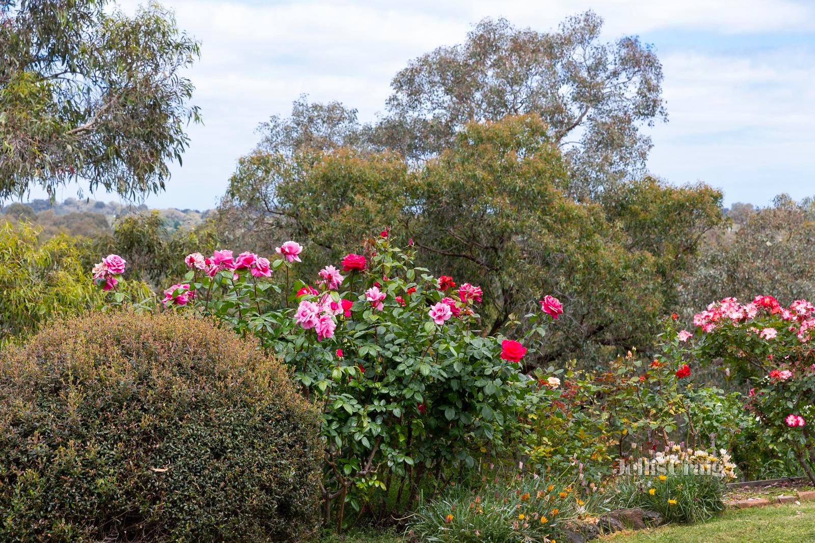 103 Mannish Road, Wattle Glen image 15