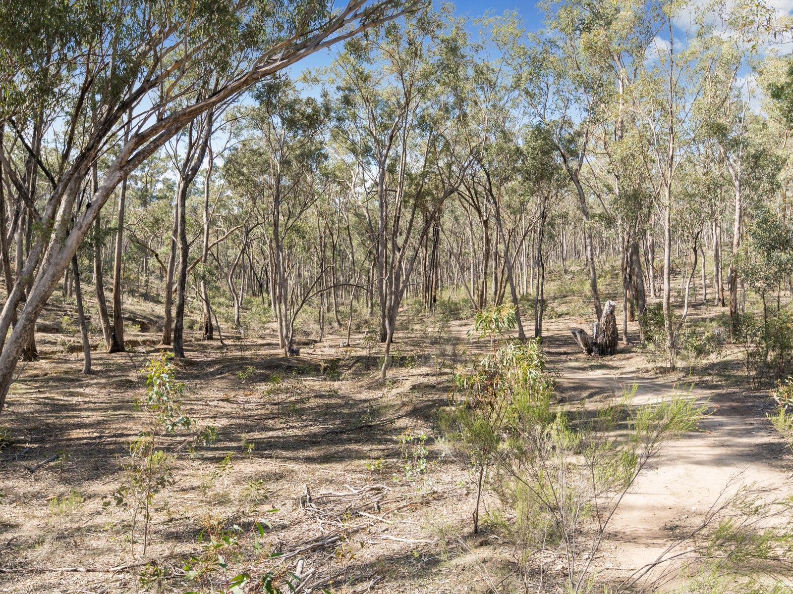 103 Morris Track, Campbells Creek image 3