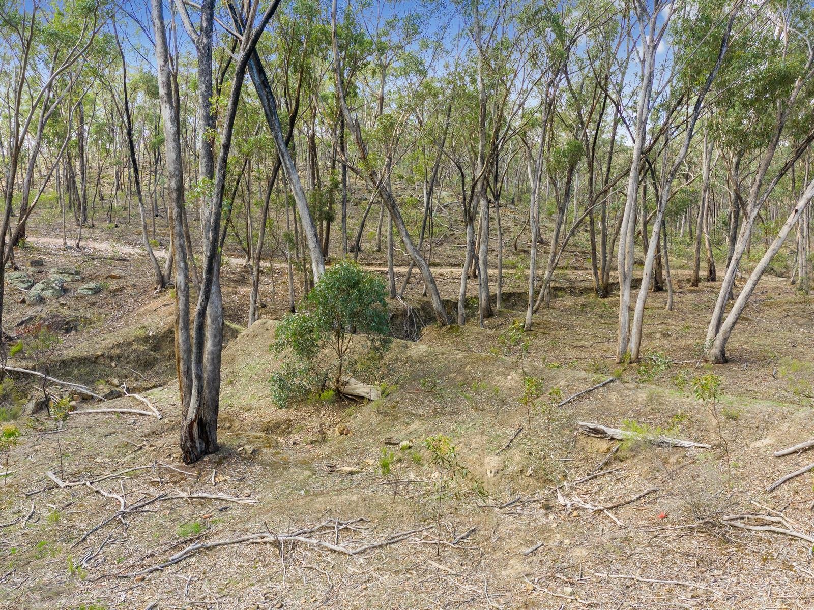 103 Morris Track, Campbells Creek image 5