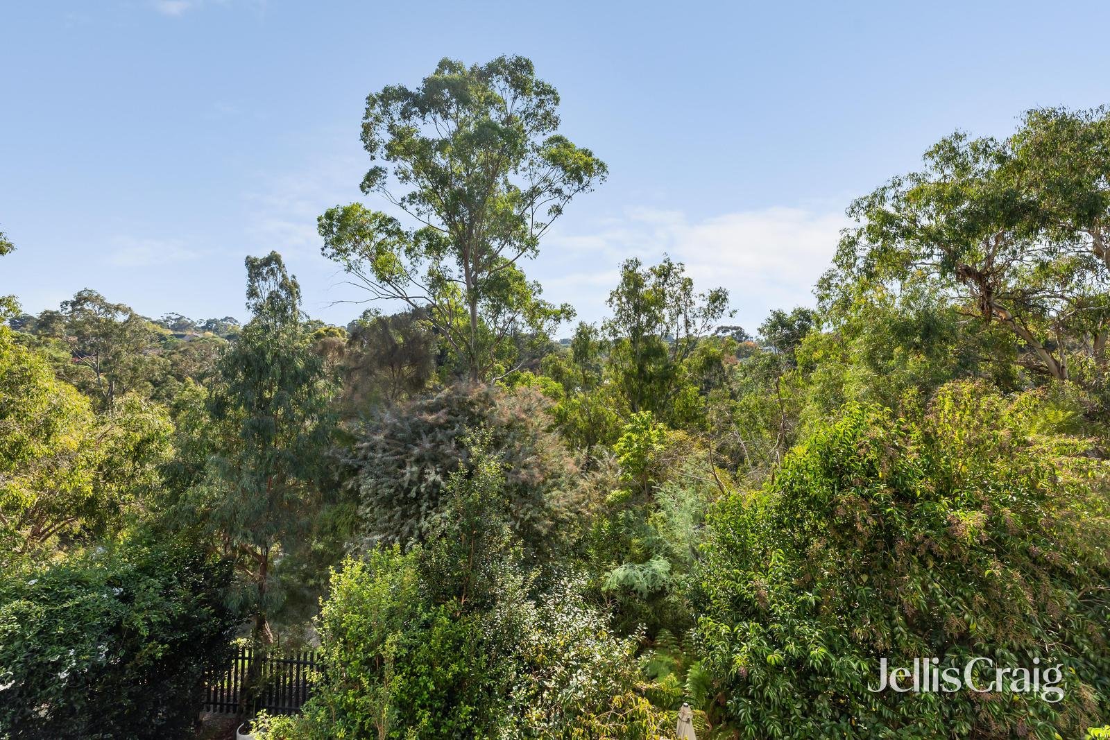 103/13 Acacia Place, Abbotsford image 10