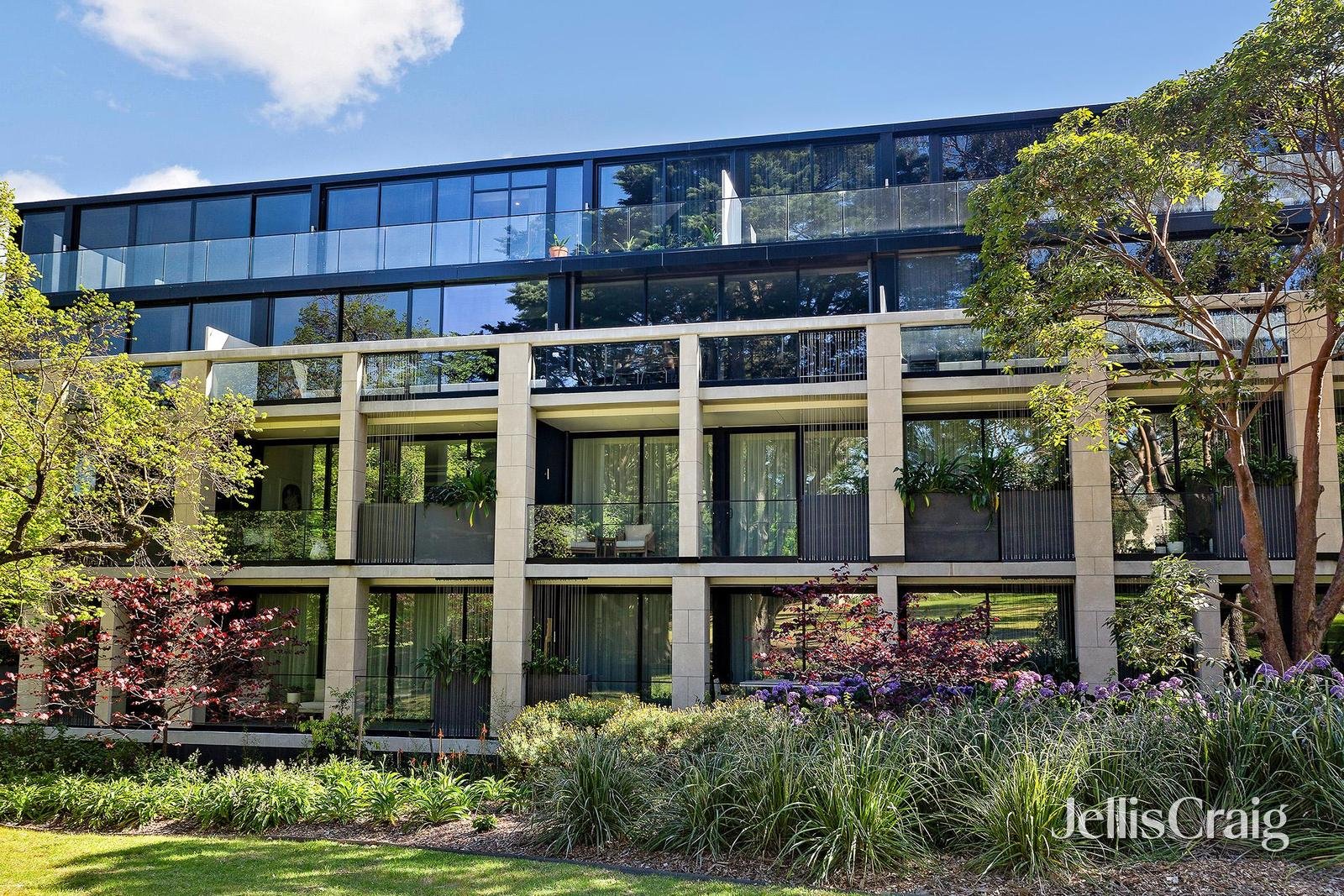 103/3 Norfolk Road, Surrey Hills image 1