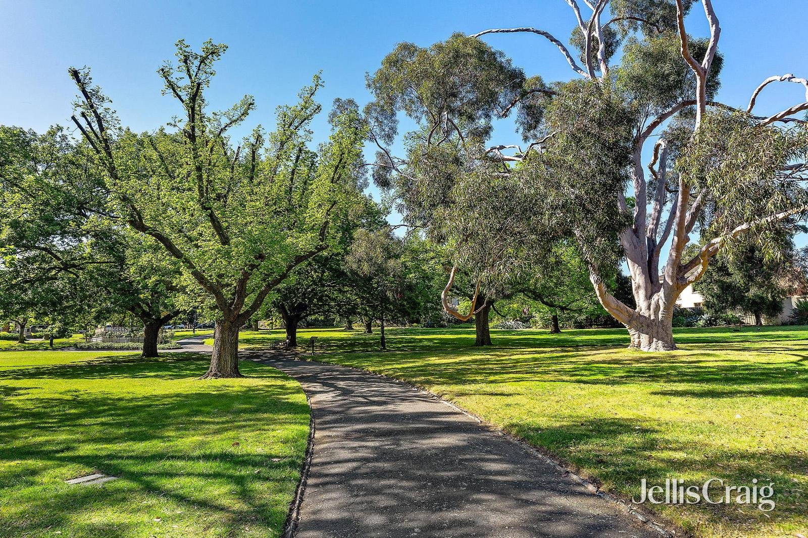 103/3 Norfolk Road, Surrey Hills image 9