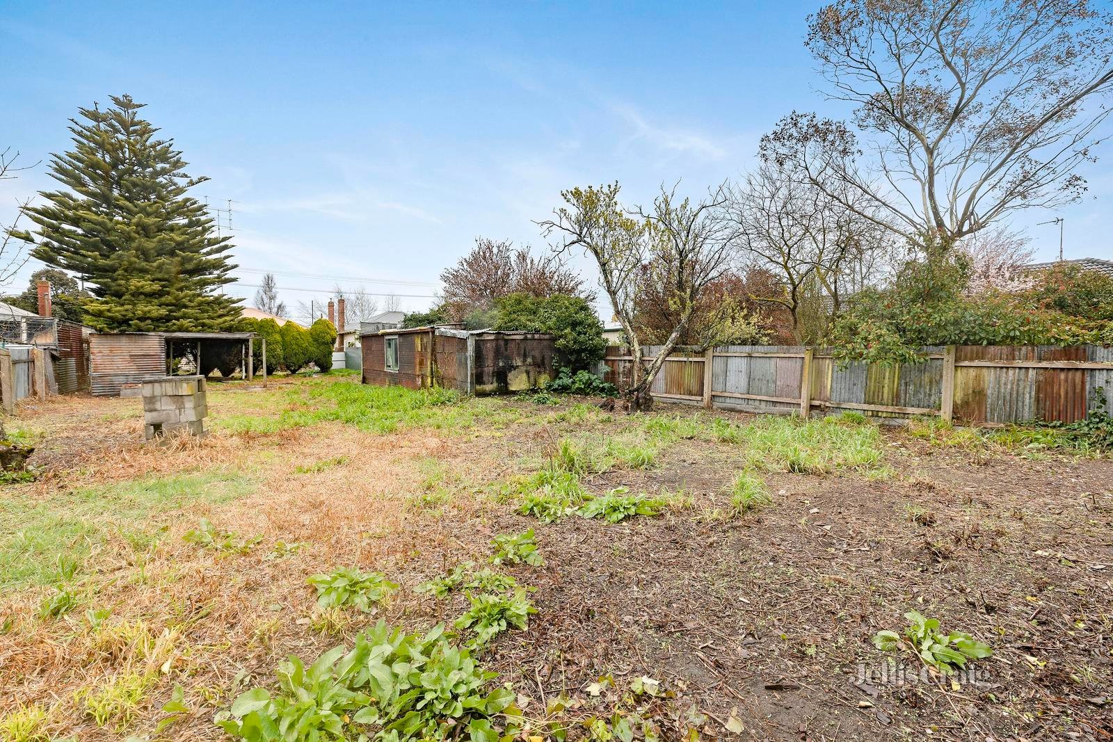 105 Albert Street, Sebastopol image 7