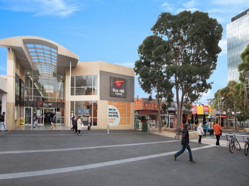 105 Carrington Road, Box Hill image 11
