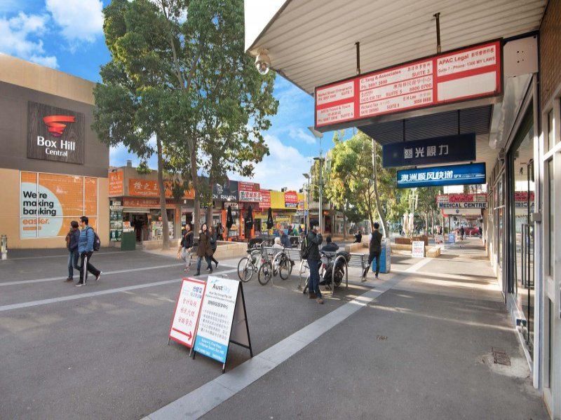 105 Carrington Road, Box Hill image 12
