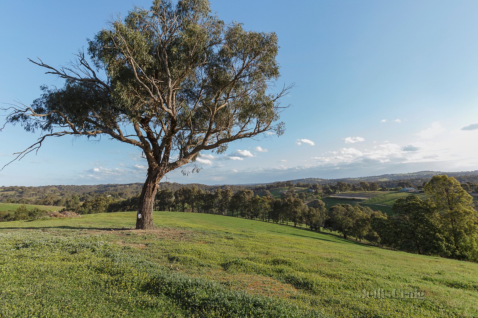 105 Gills Road, Watsons Creek image 13