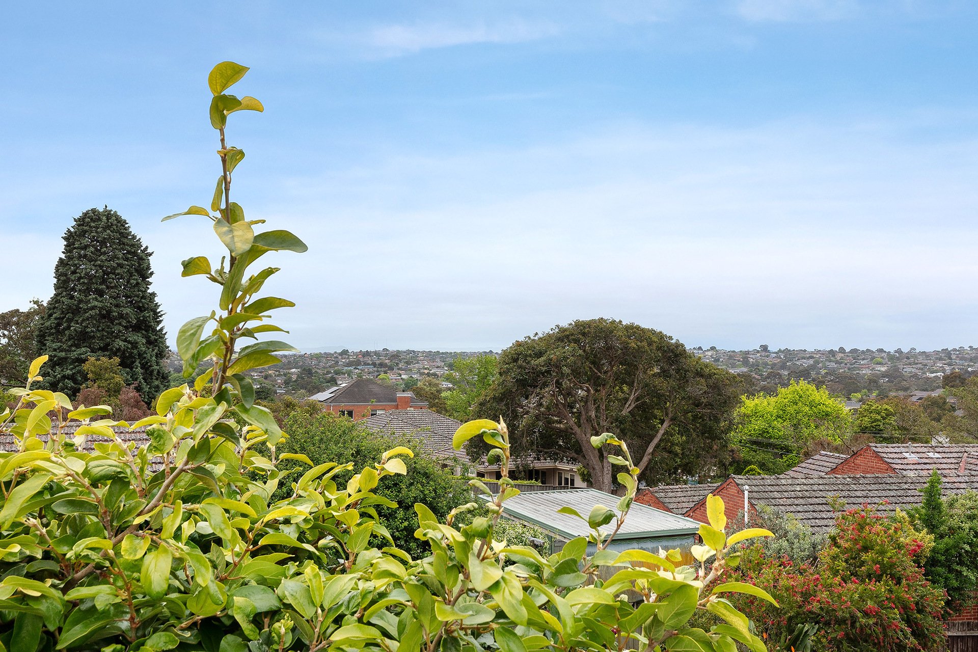 105 Mountain View Road, Balwyn&nbsp;North image 10