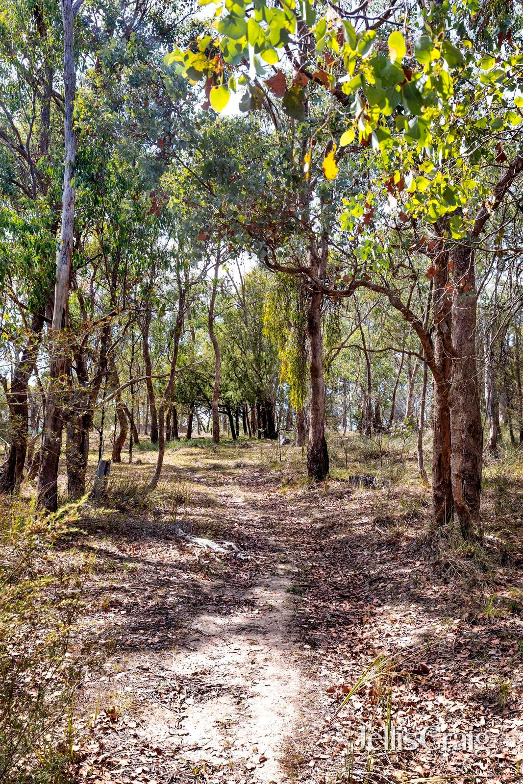 1055 Skyline Road, Christmas&nbsp;Hills image 2