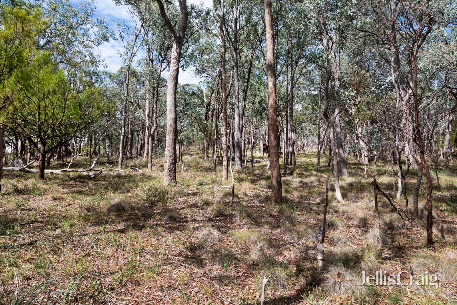 1055 Skyline Road, Christmas&nbsp;Hills image 4