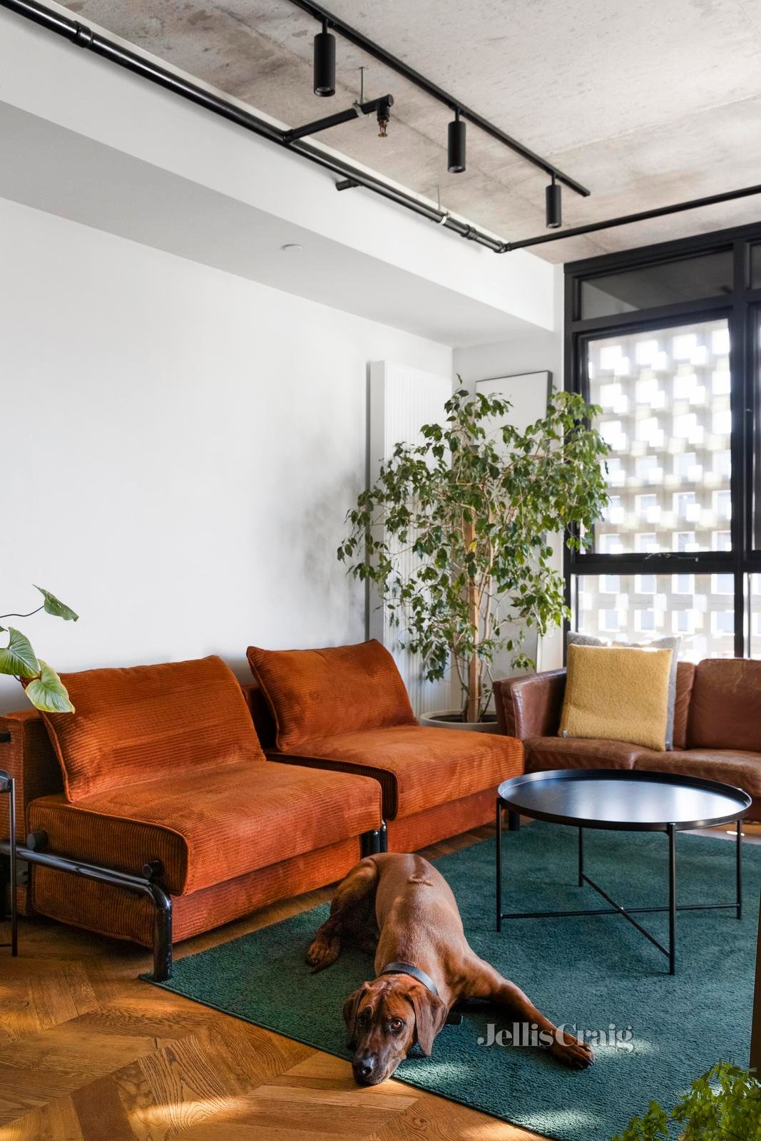 105/6 Rochester Street, Fitzroy image 3
