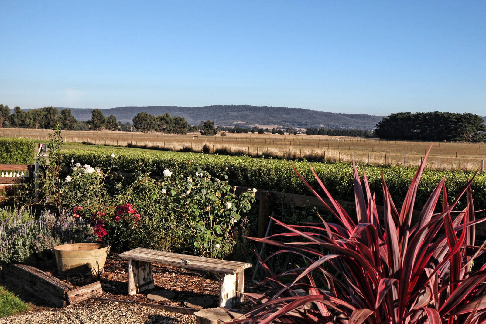 Property Gallery Thumbnail 2