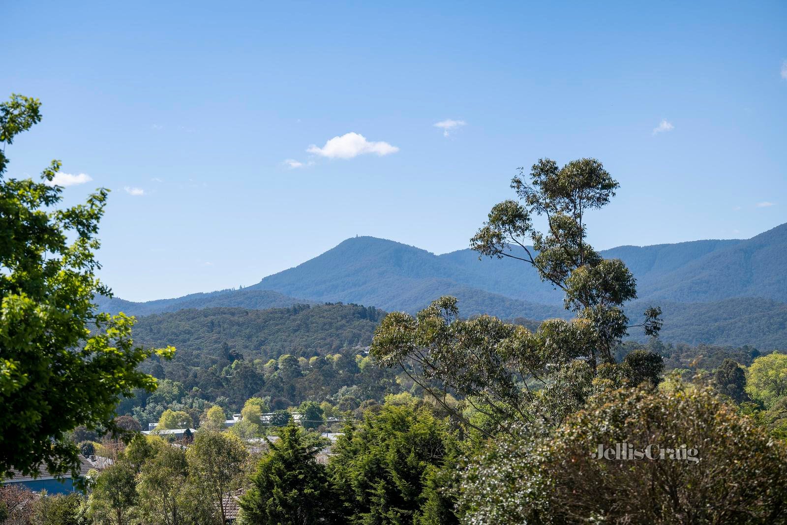 108 Ayres Road, Healesville image 18