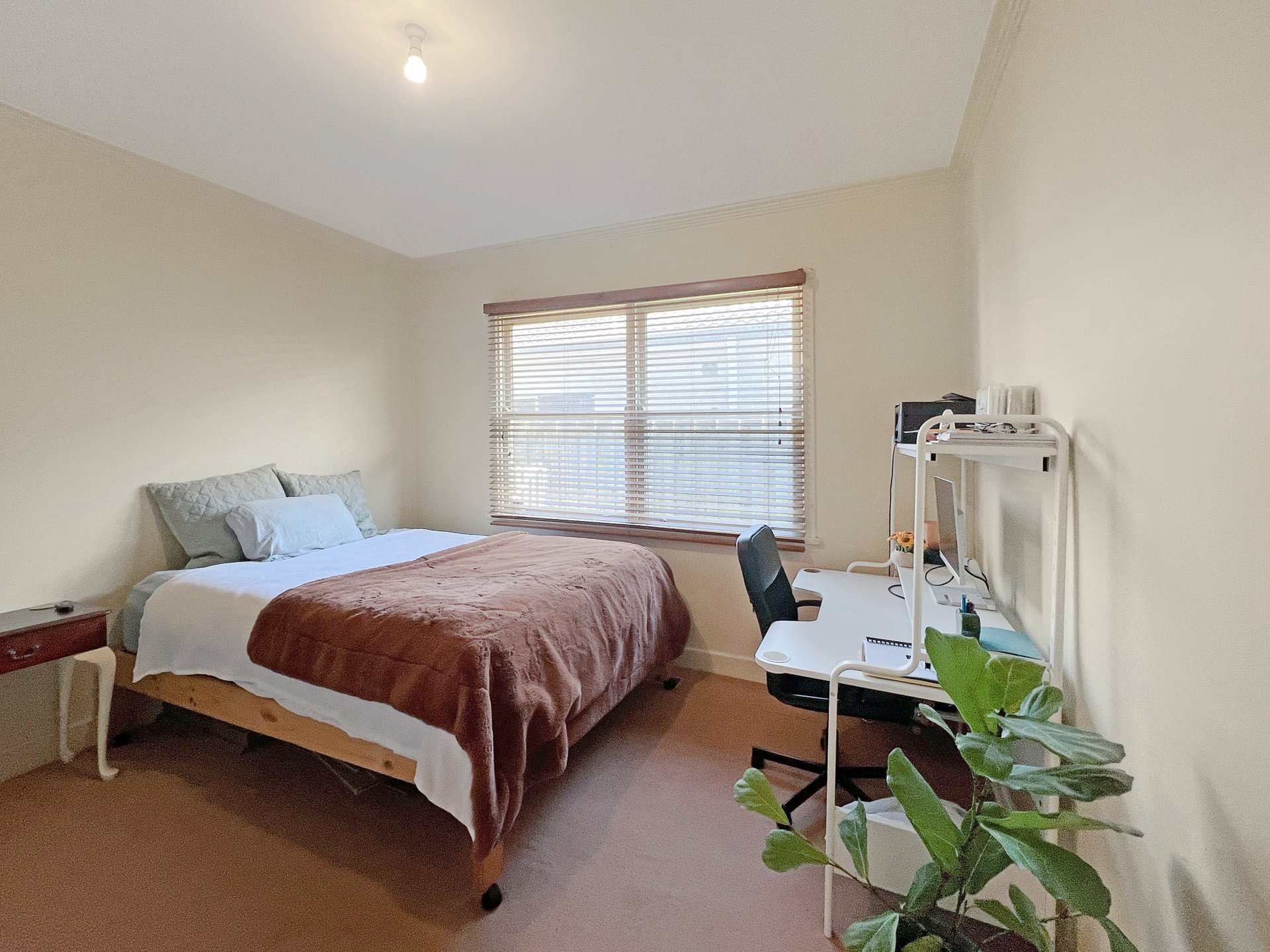 108 Isabella Street, Geelong West image 6