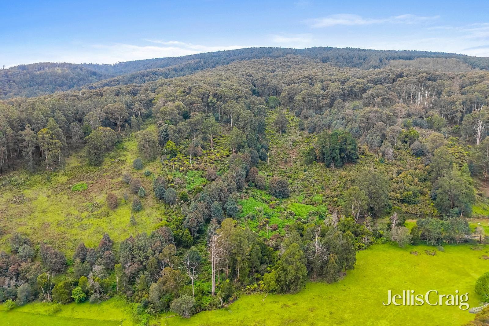 109 & 113 Campbells Creek Road, Castella image 4