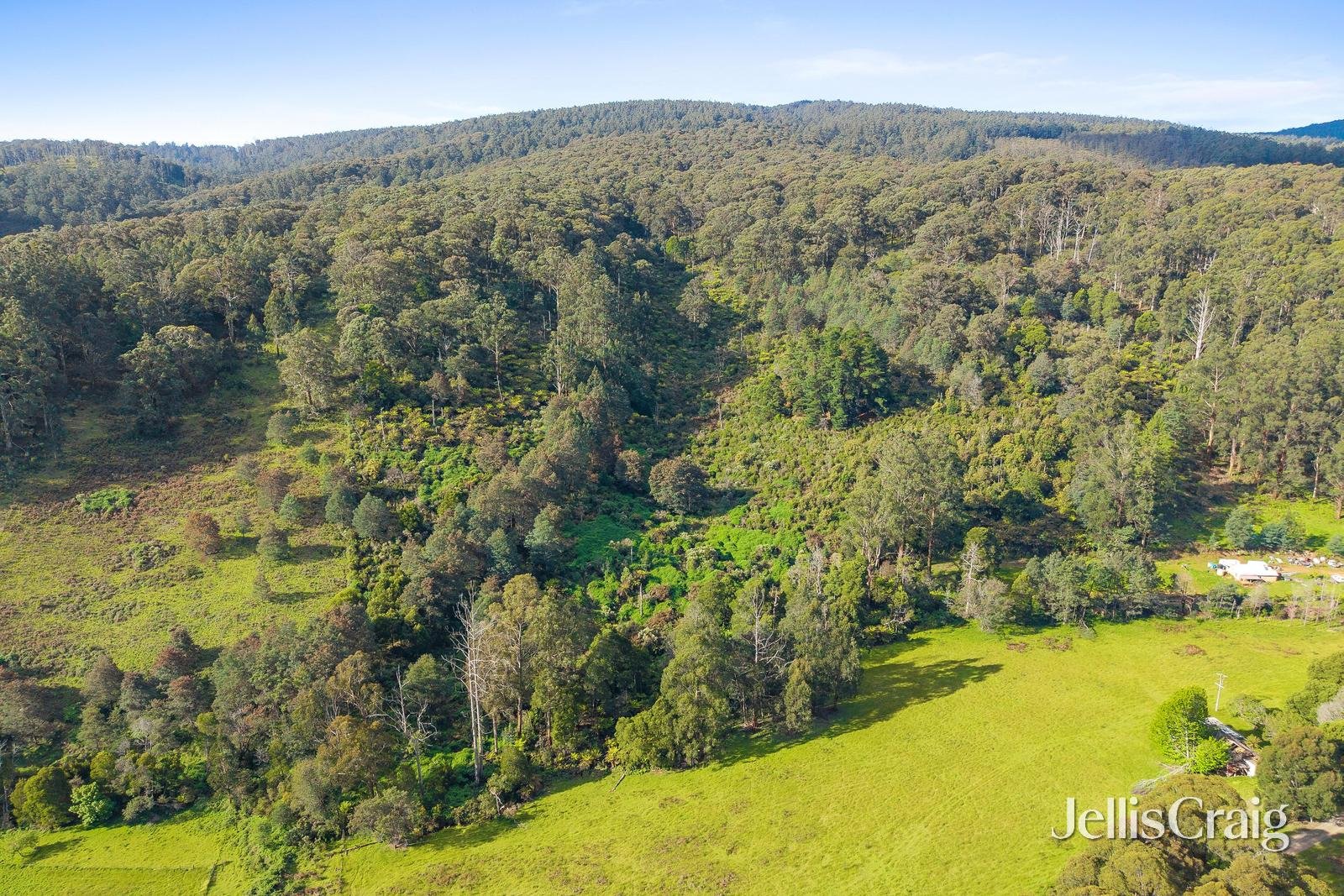 109 & 113 Campbells Creek Road, Castella image 6