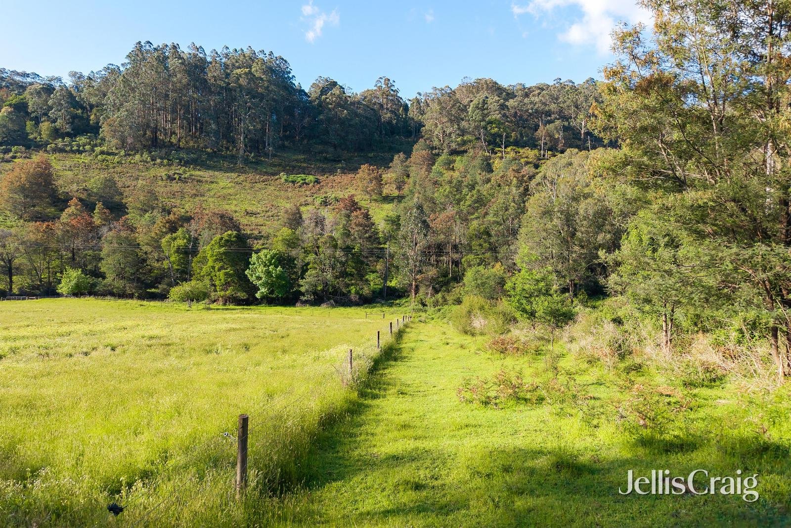 109 & 113 Campbells Creek Road, Castella image 7