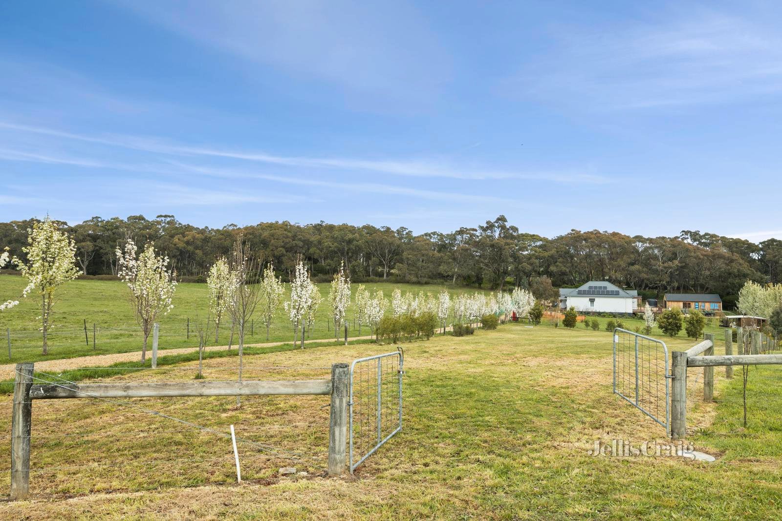 10A Langdon Court, Daylesford image 5