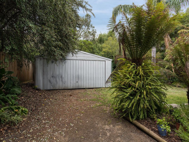 11 Aileen Avenue, Montrose image 16