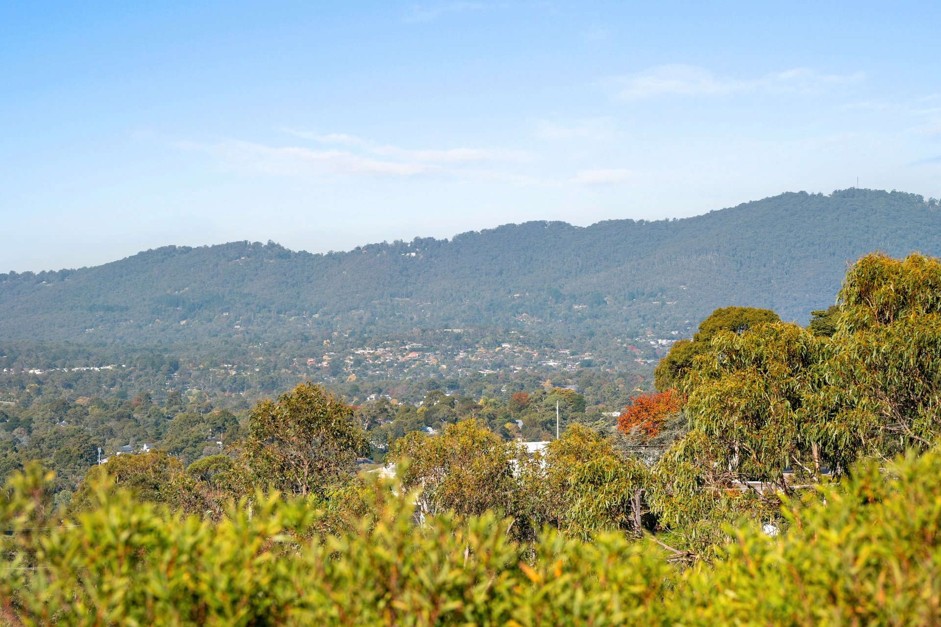 11 Azalea Court, Croydon&nbsp;North image 9