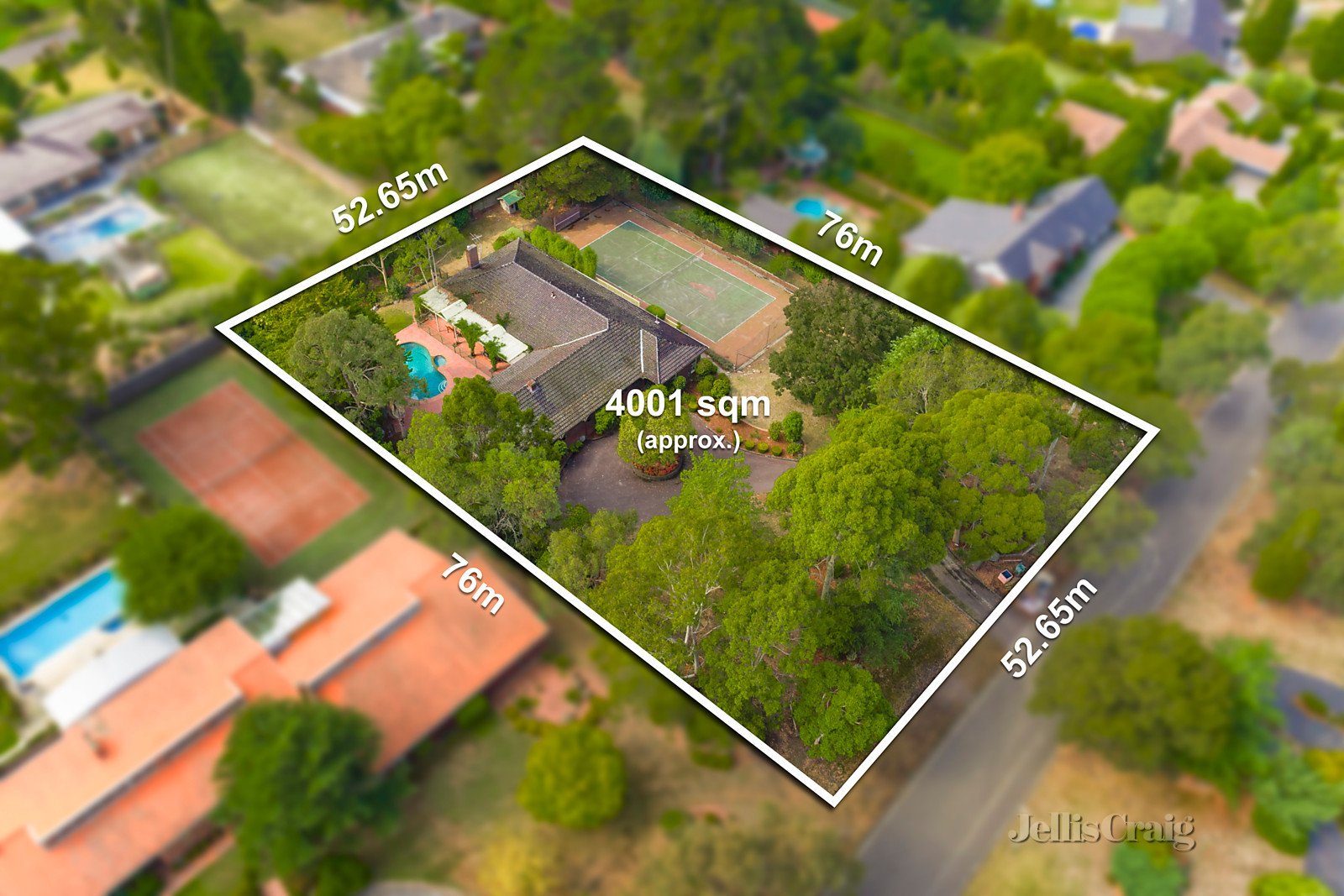 11 Berrima Road, Donvale image 12