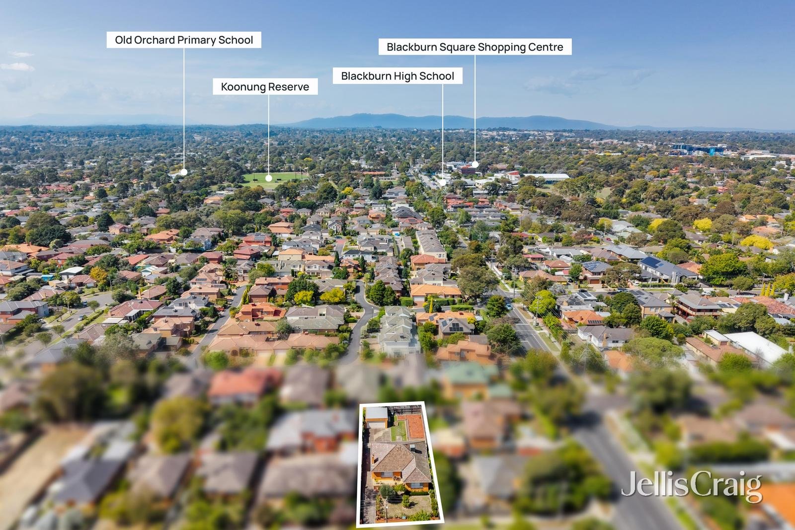 11 Blake Street, Blackburn&nbsp;North image 9