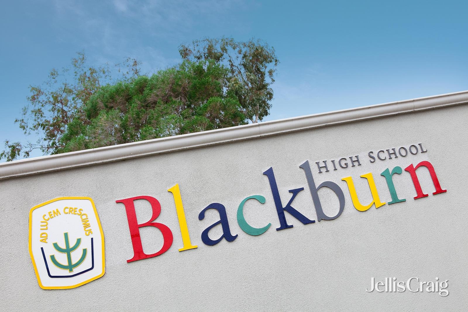 11 Blake Street, Blackburn&nbsp;North image 13