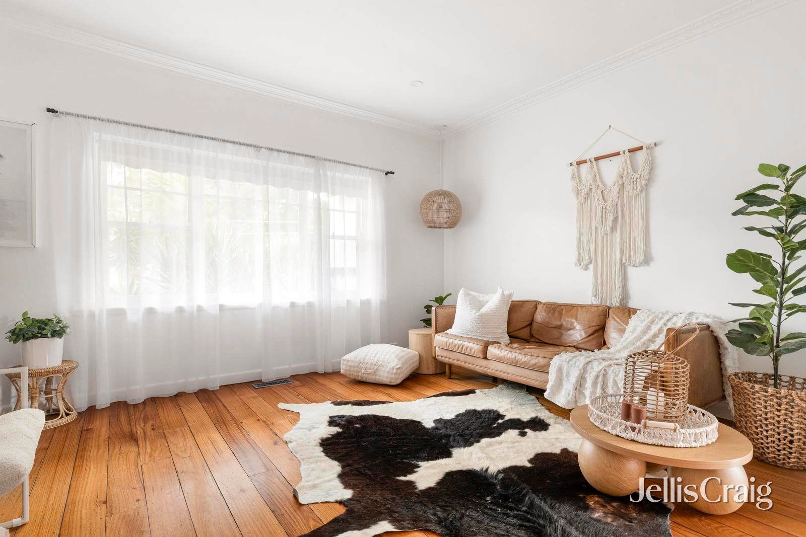 11 Campbell Road, Briar&nbsp;Hill image 3