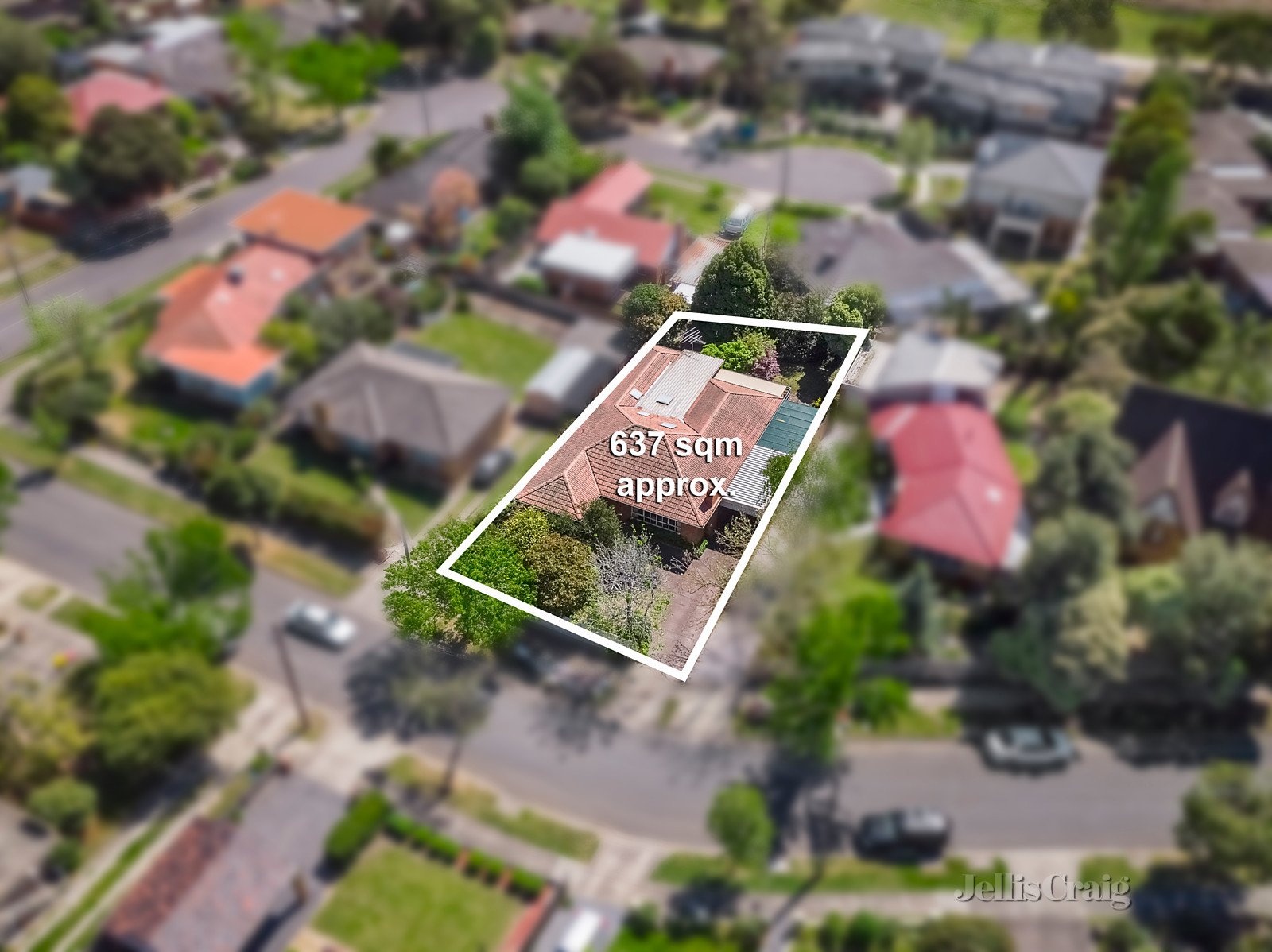 11 Cavalier Street, Doncaster East image 6