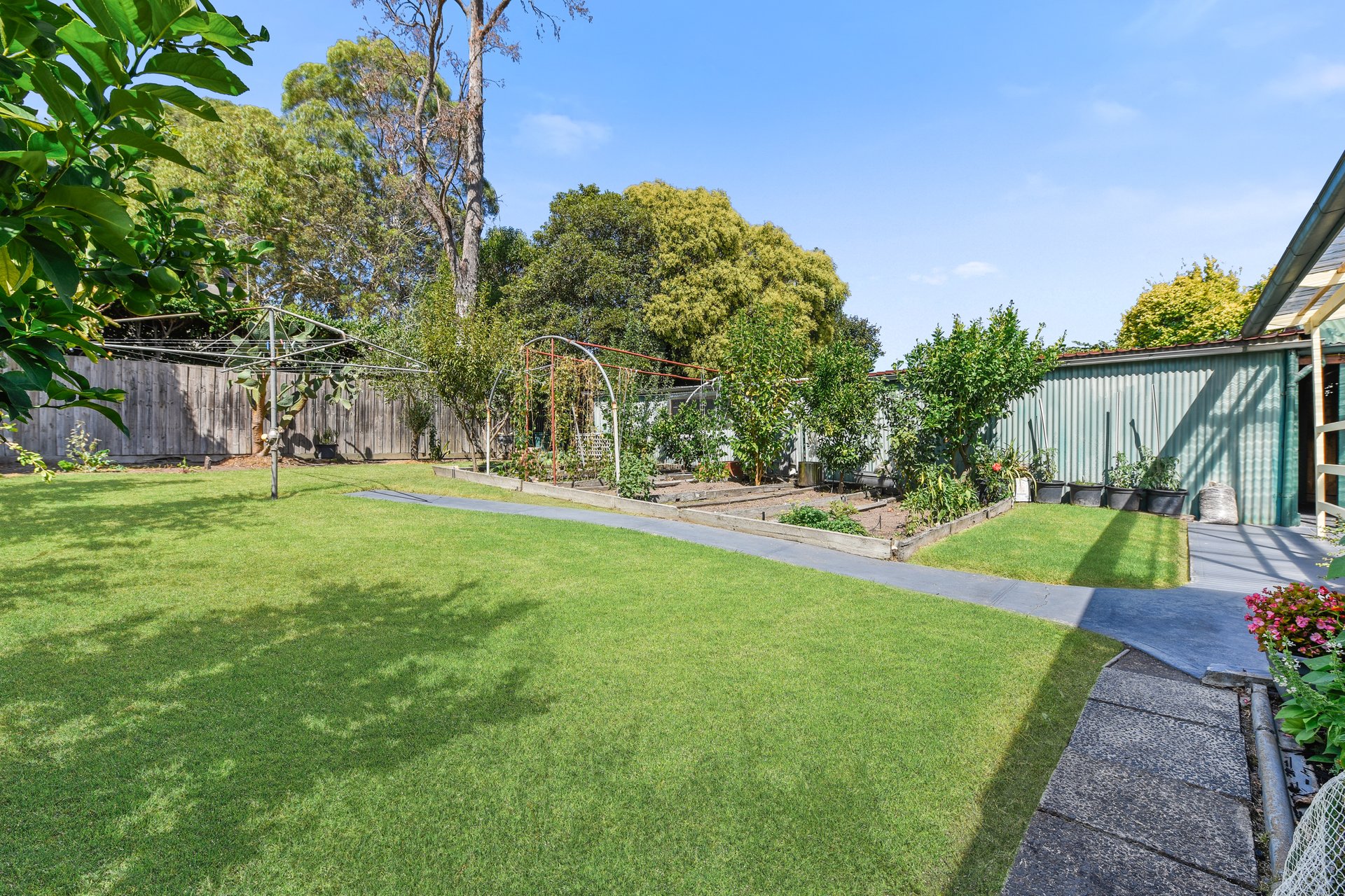 11 Dobell Street, Blackburn South image 15