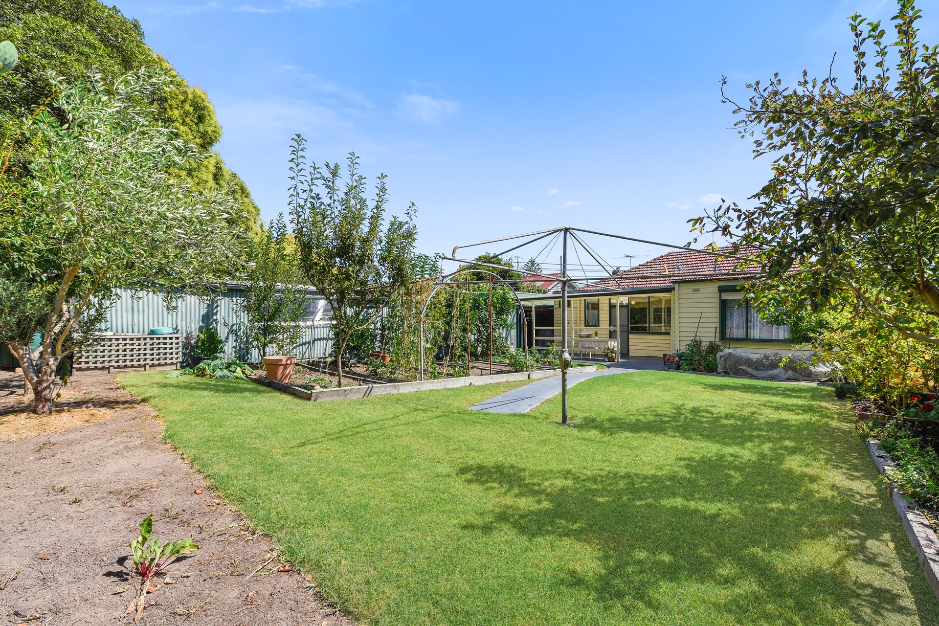 11 Dobell Street, Blackburn South image 16