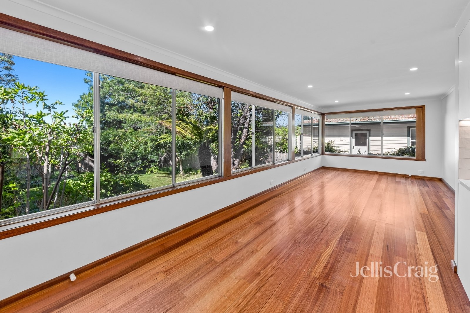 11 Douglas Street, Rosanna image 4