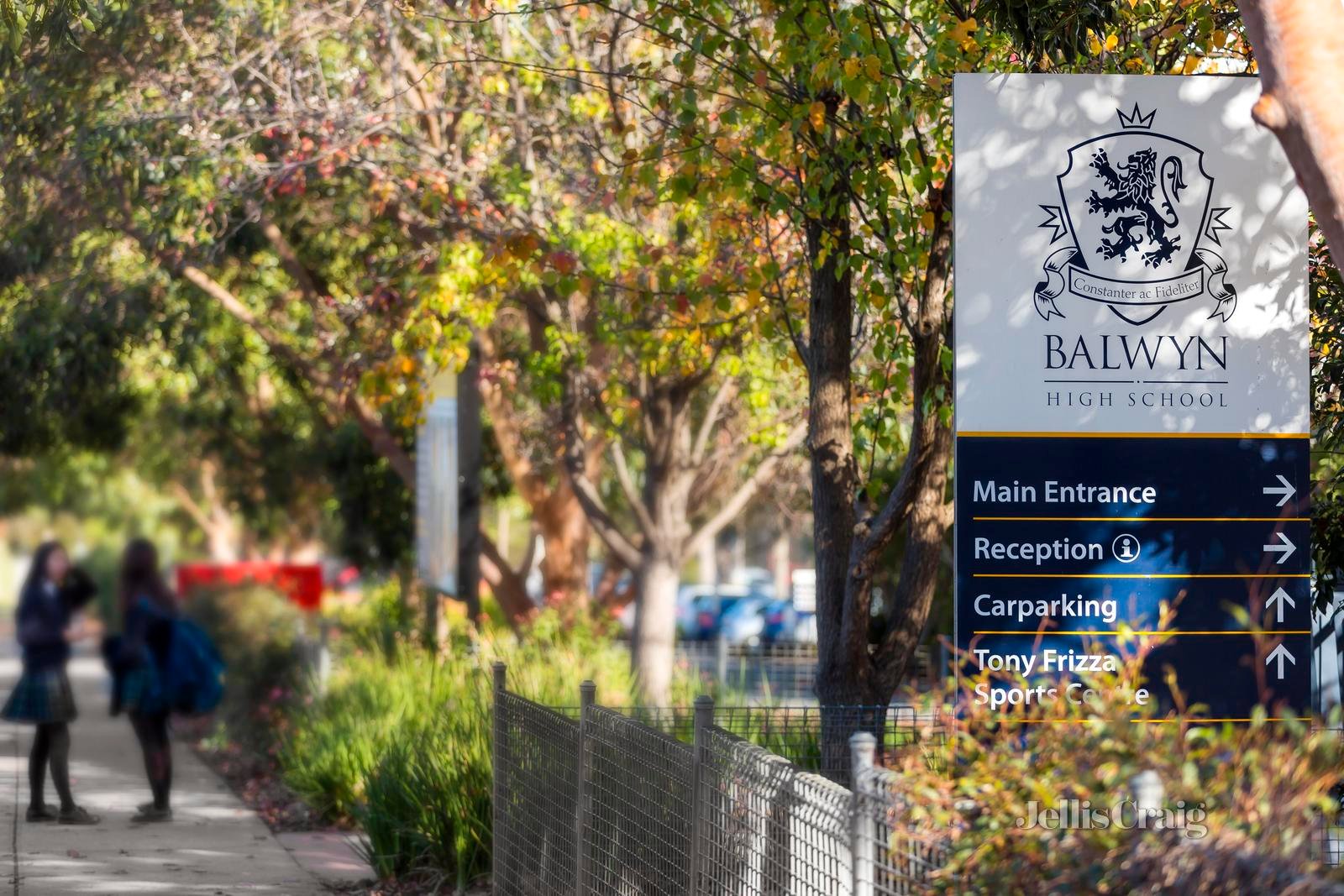 11 Ellsa Street, Balwyn North image 7