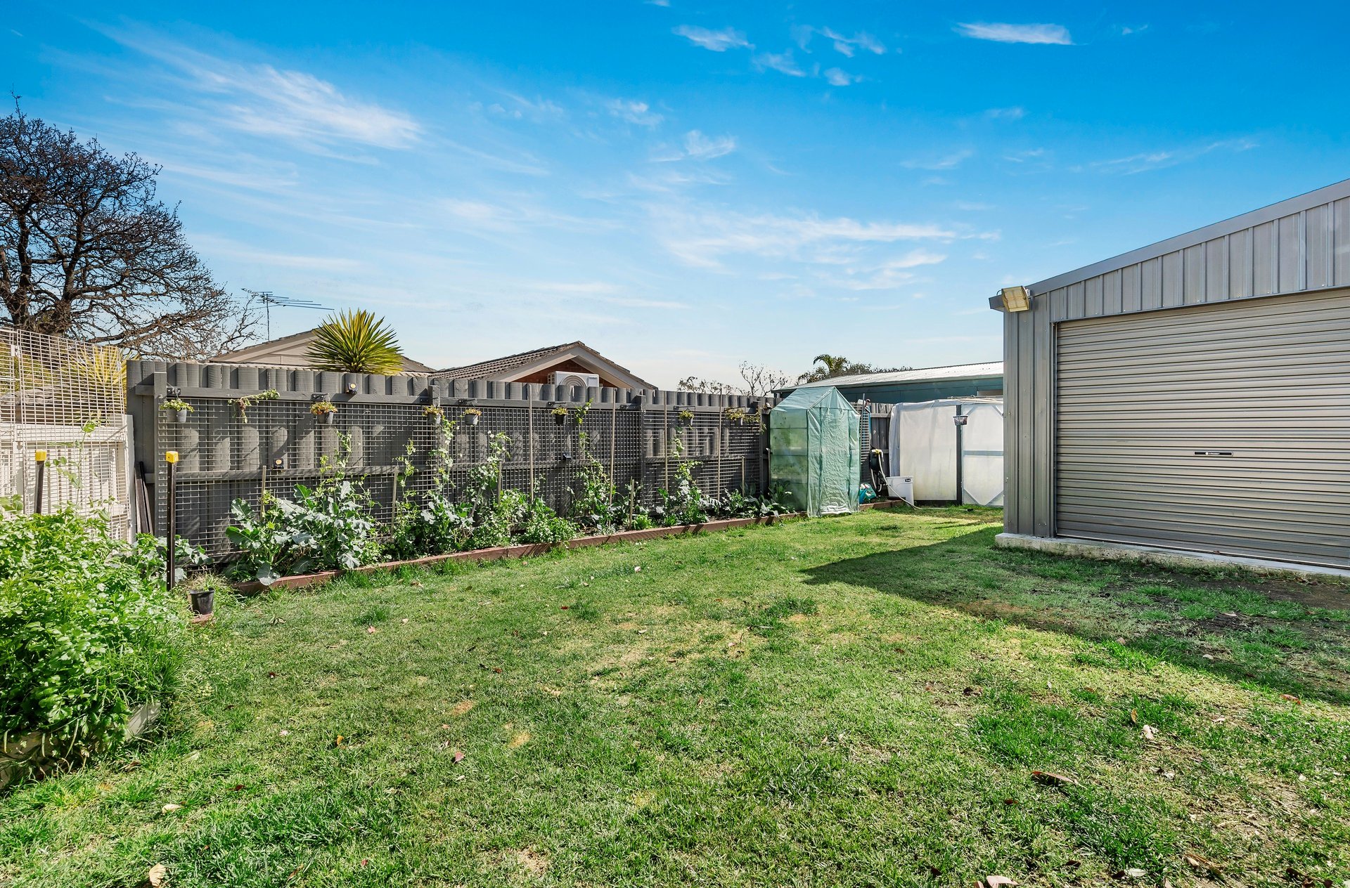 1/1 Evon Avenue, Ringwood East image 6