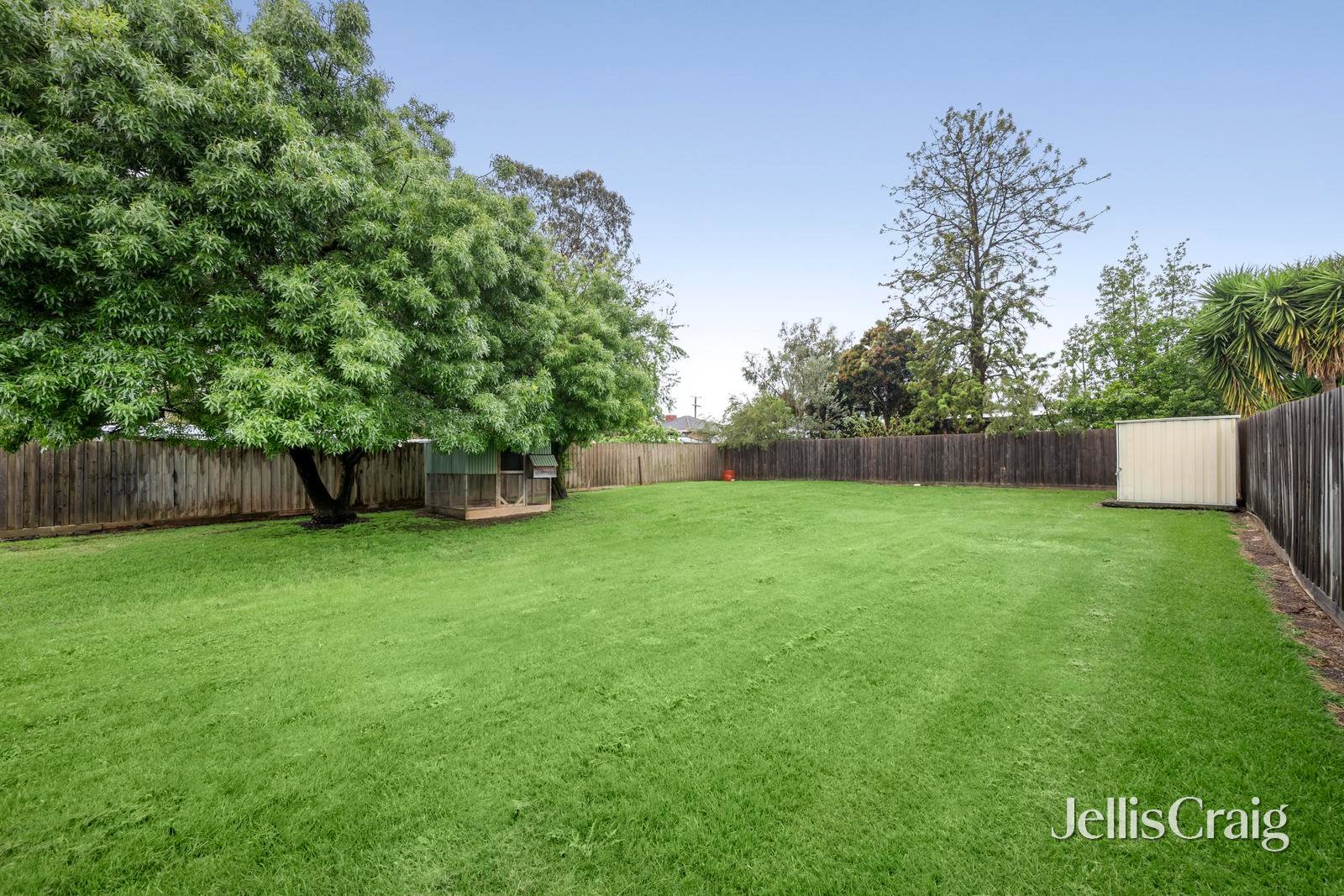 11 Fintona Court, Coldstream image 18