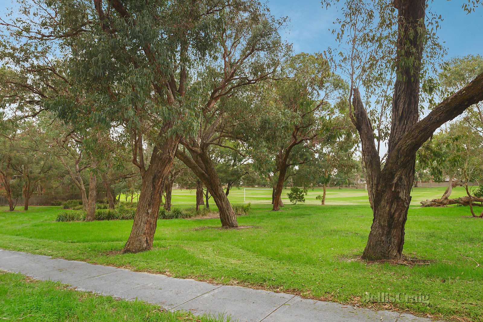 11 Golden Glen Road, Forest Hill image 13