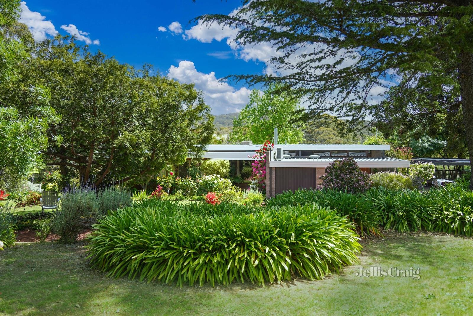 11 Golf Link Road, Maldon image 5