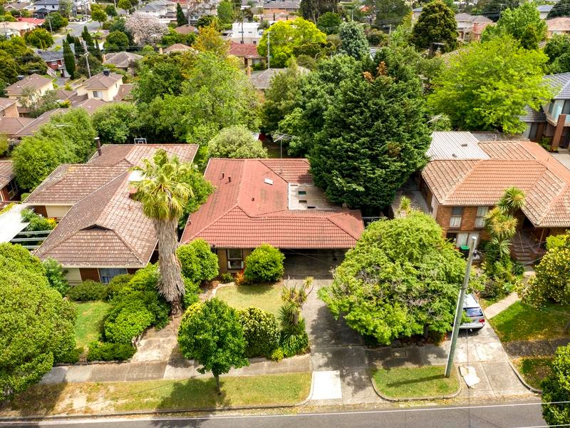 11 Jeffrey Street, Templestowe Lower image 4