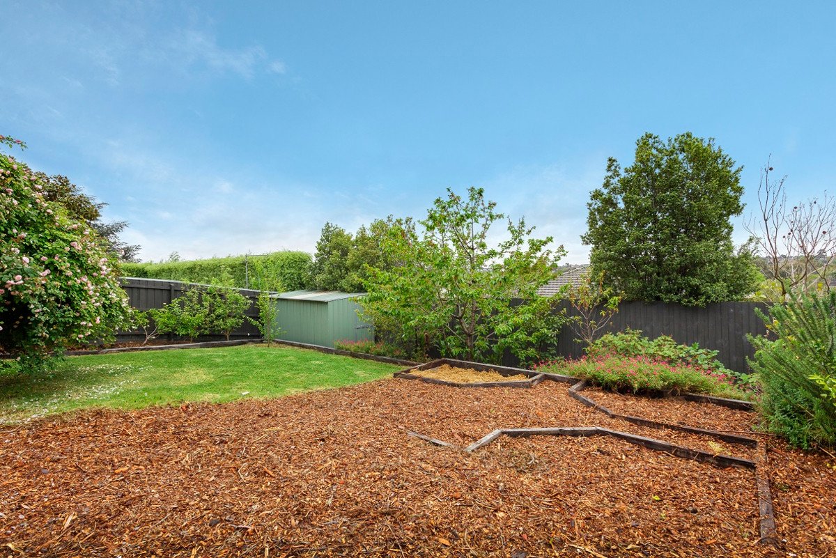 11 Kelvinside Street, Balwyn North image 5