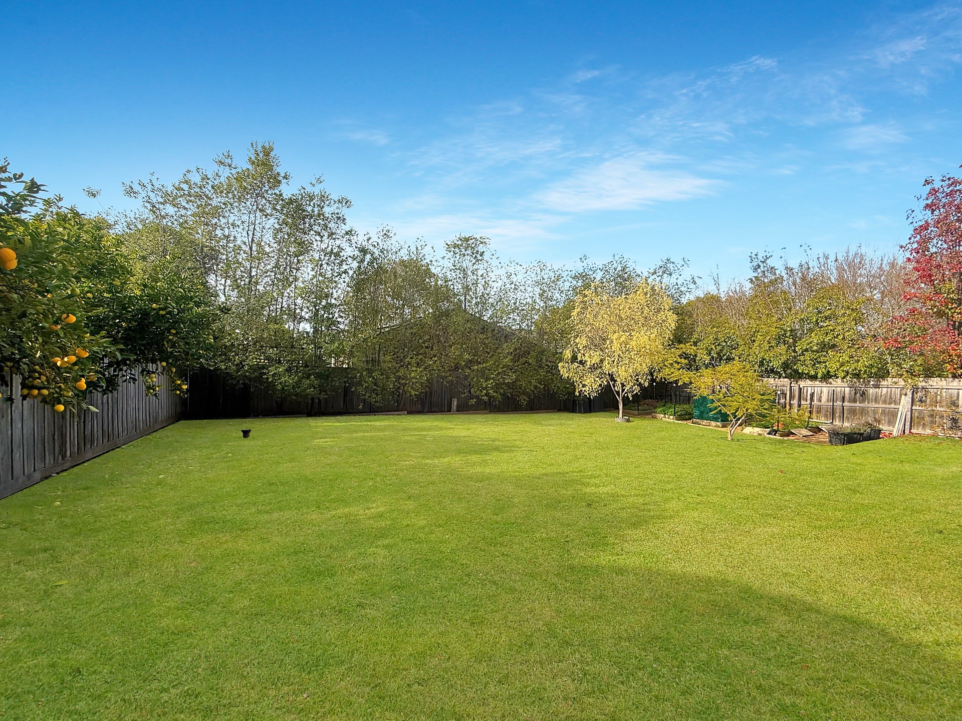 11 Lichen Grove, Highton image 11