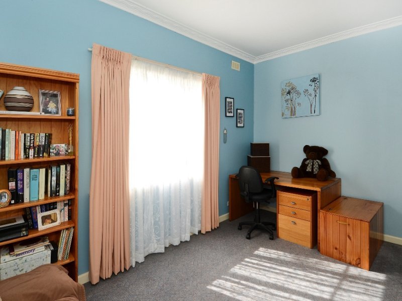 11 Little Avenue, Hamlyn Heights image 6