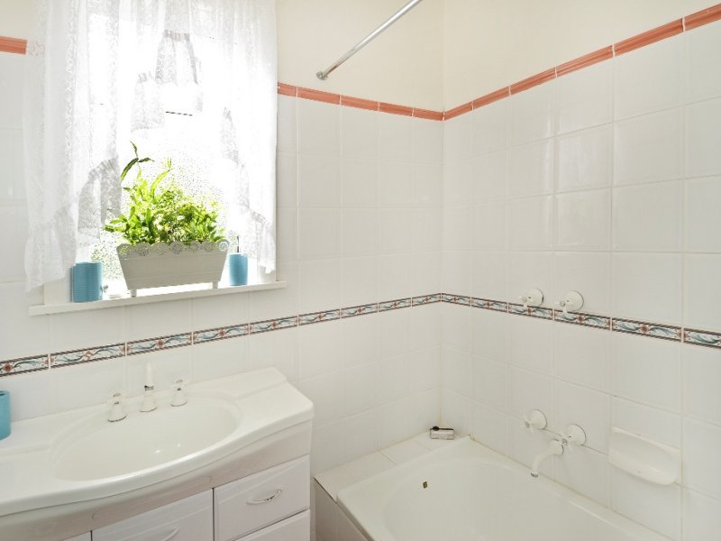 11 Little Avenue, Hamlyn Heights image 7
