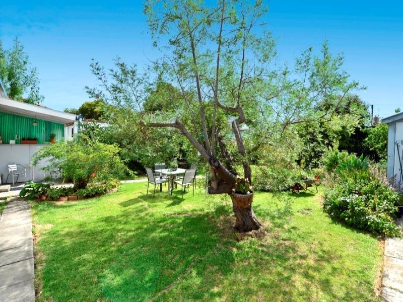 11 Little Avenue, Hamlyn Heights image 8