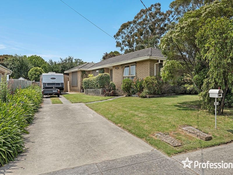 11 McFadzean Street, Coldstream image 1