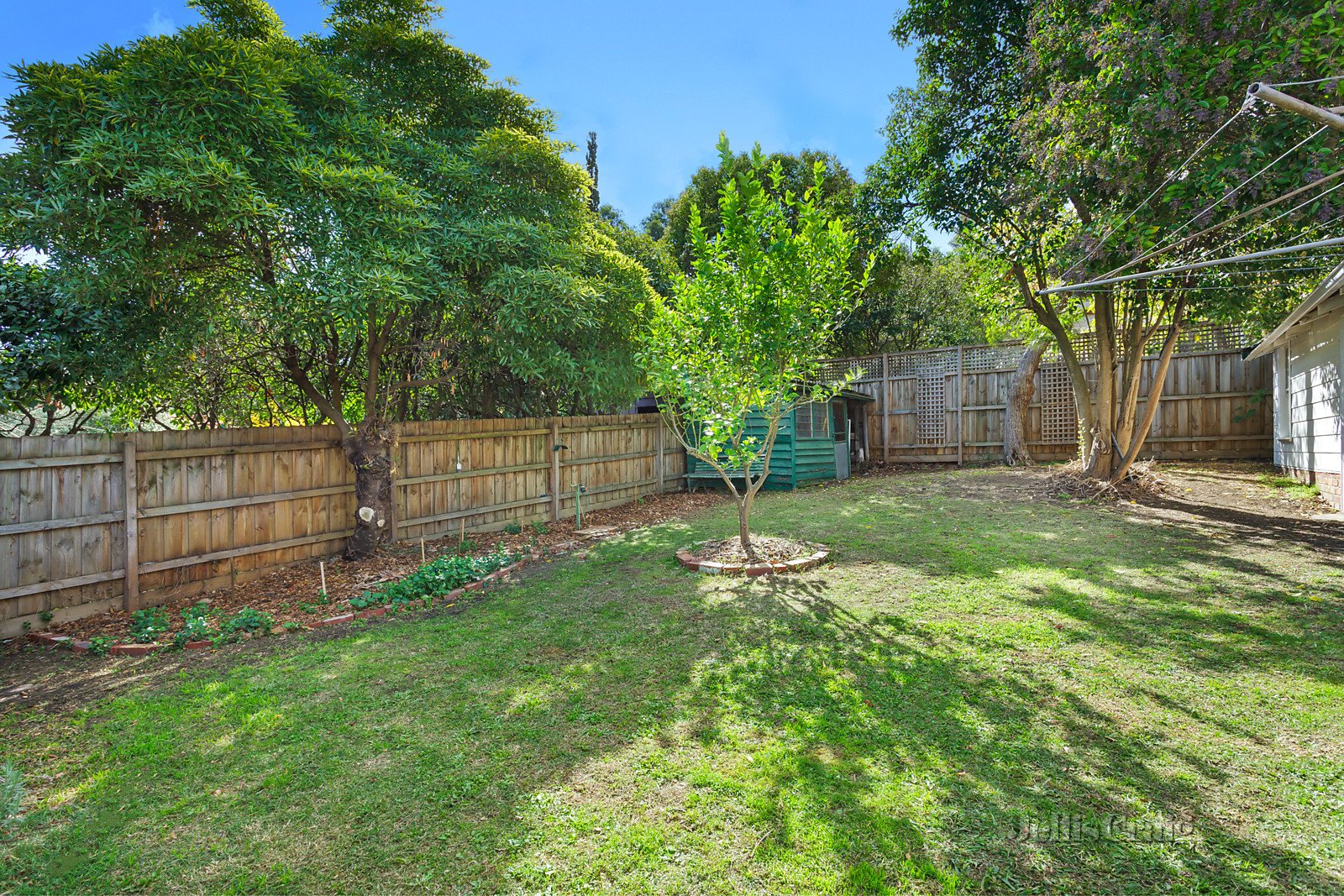 11 Nepean Street, Glen Iris image 3