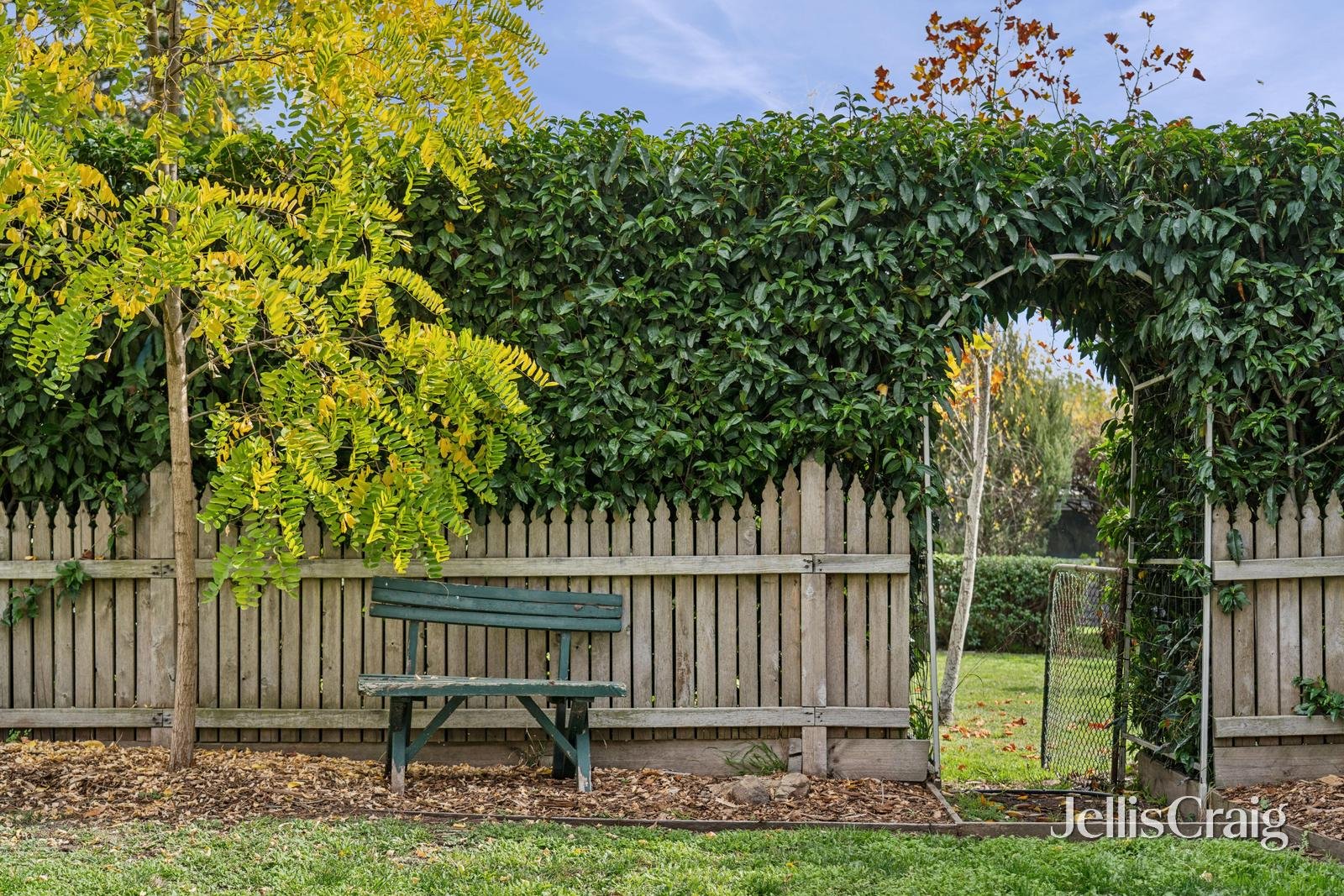 11 Parkin Street, Allendale image 24