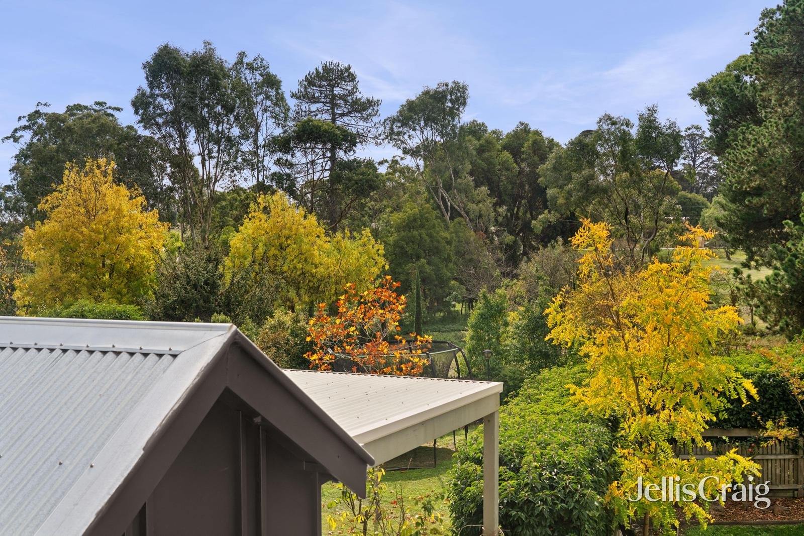 11 Parkin Street, Allendale image 25