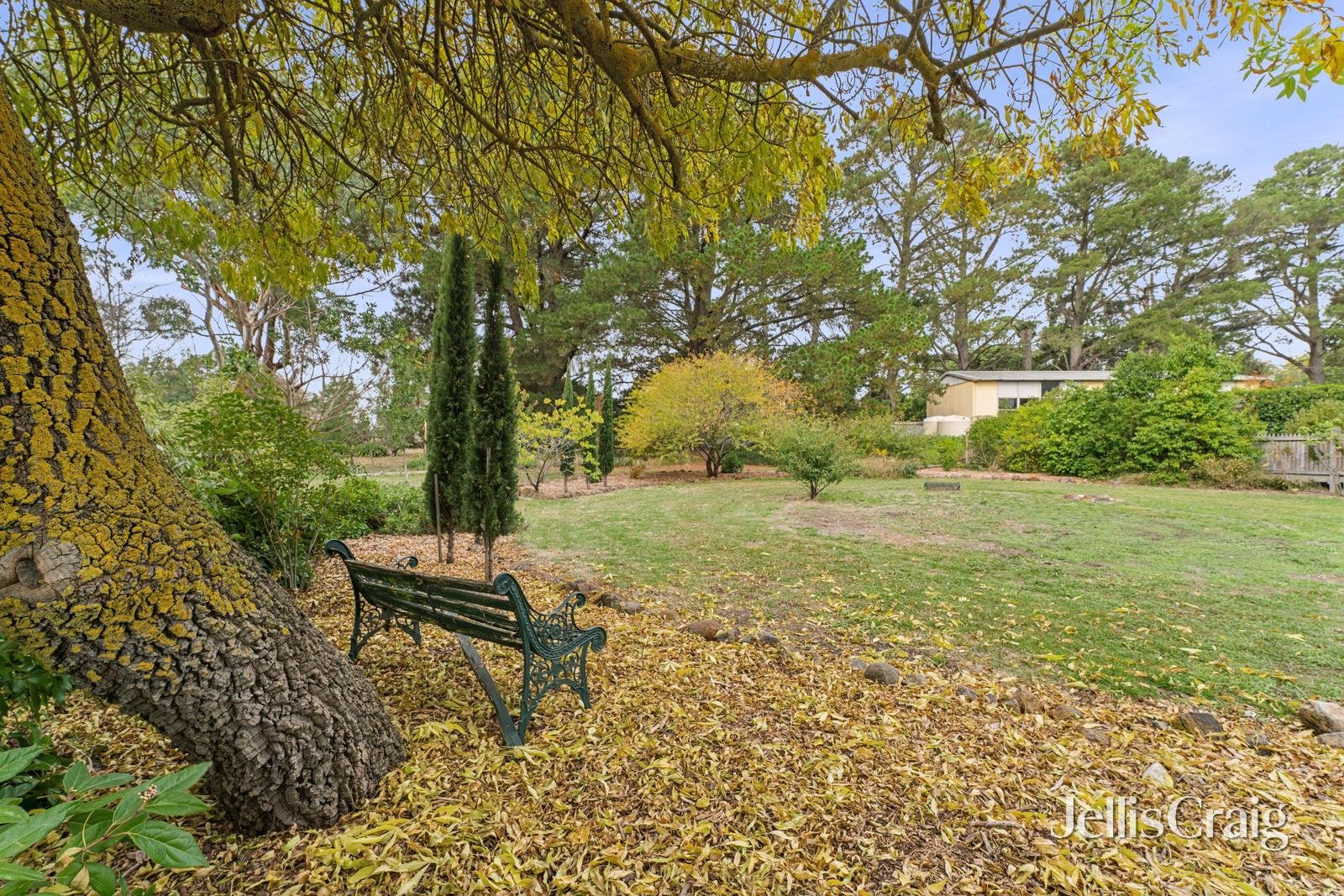 11 Parkin Street, Allendale image 32
