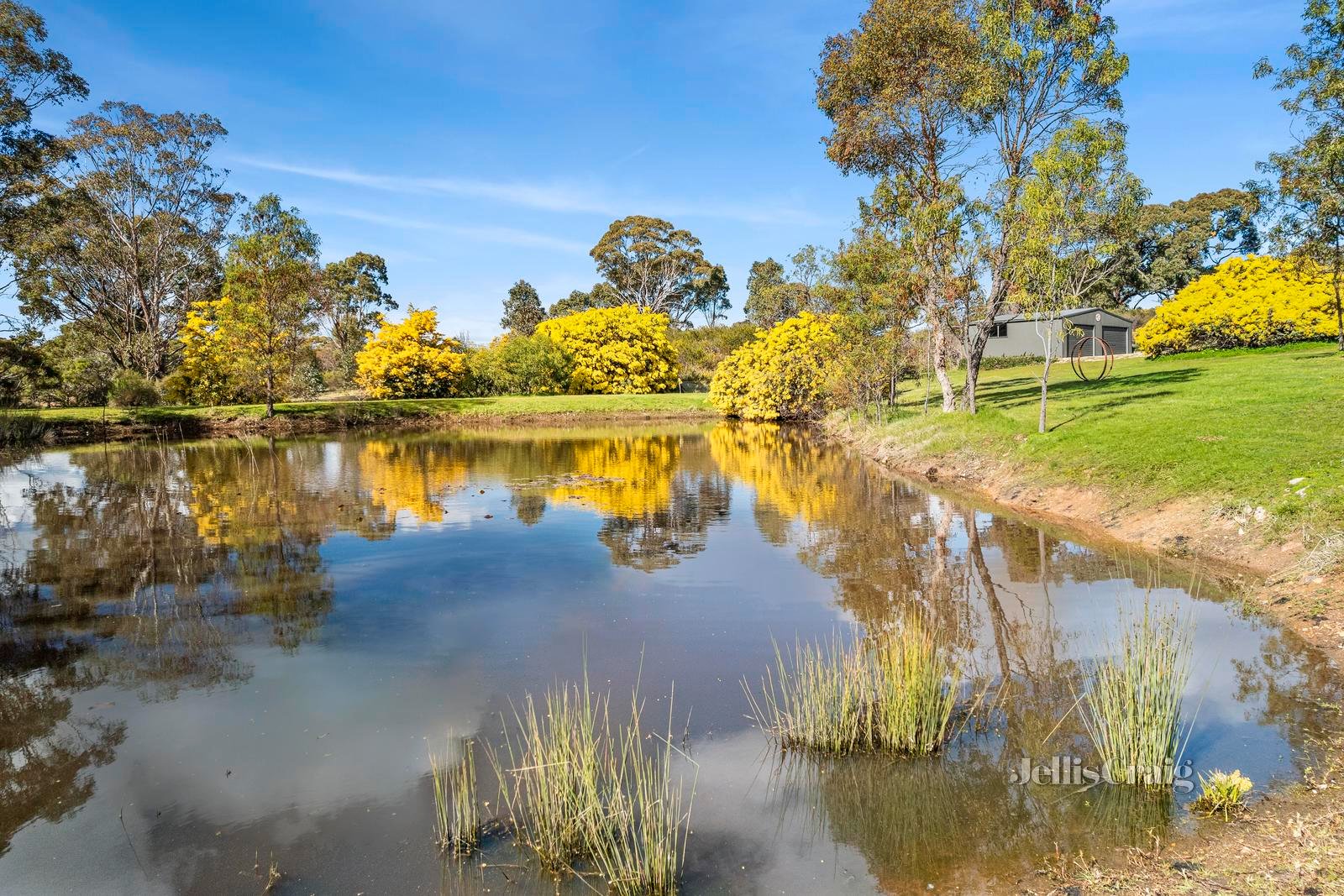 11 Sailors Reef Lane, Maldon image 18
